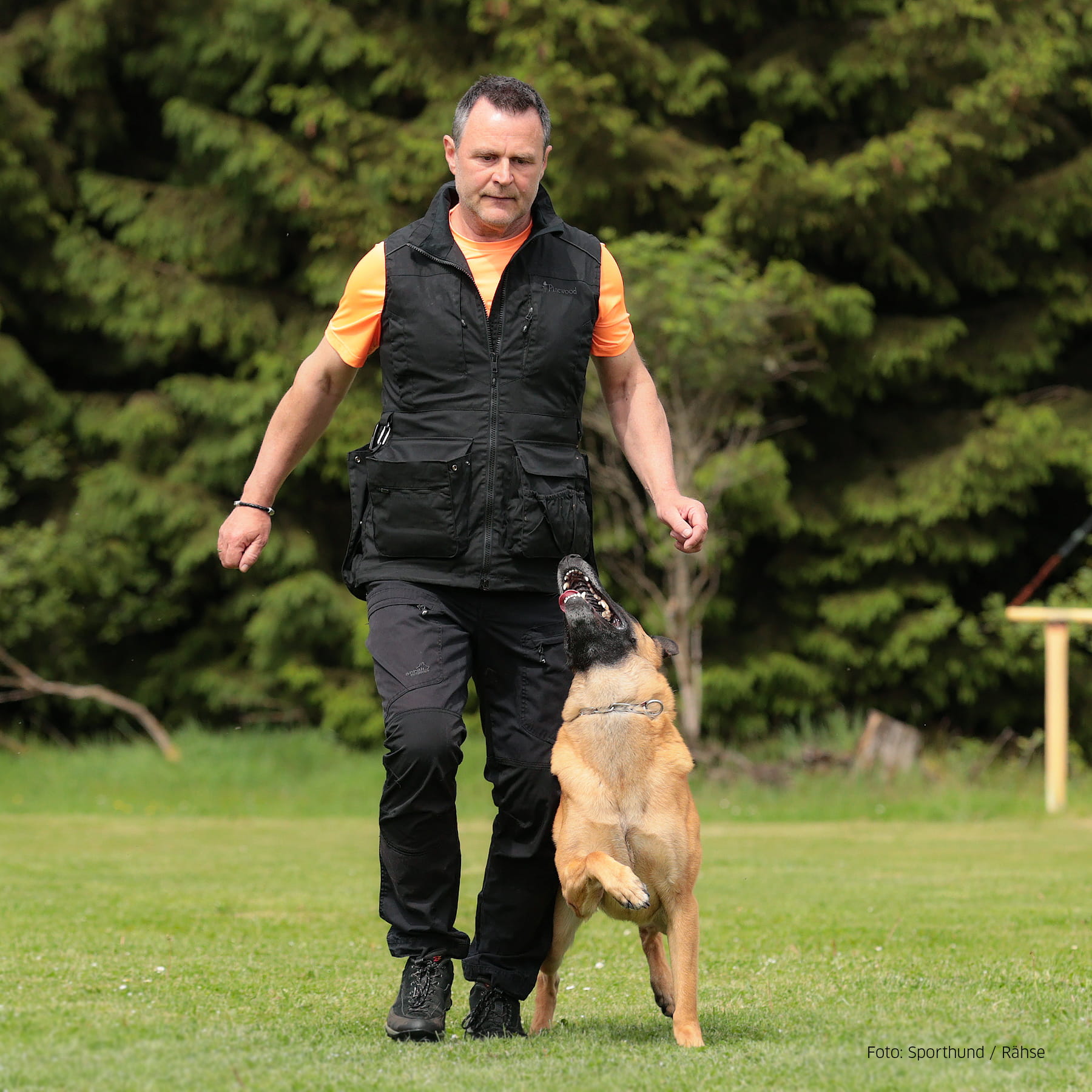Dog Sports Expert Weste Herren Schwarz L
