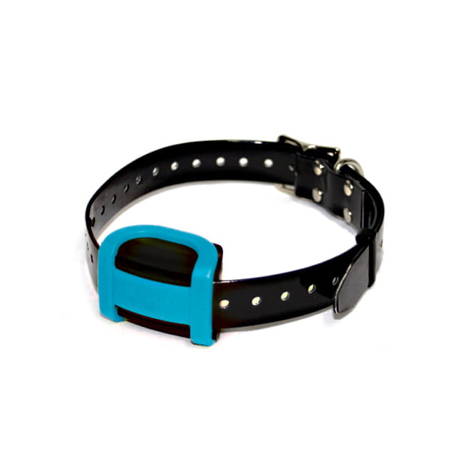 Halsband Eyenimal Pulse
