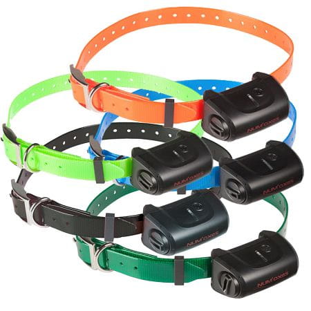 Zusatzhalsbandempfänger für Canicom 5