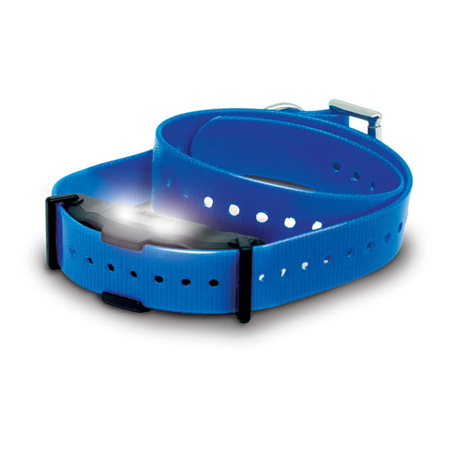 Zusatzhalsbandempfänger Dogtra ARC-X