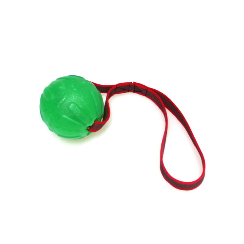 Treat Dispensing Chew Ball M mit HS