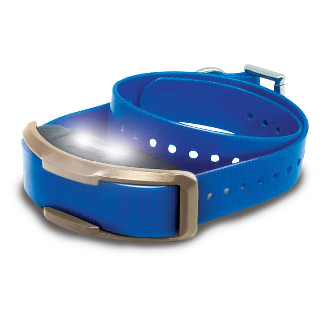 Zusatzhalsbandempf. Dogtra1200X