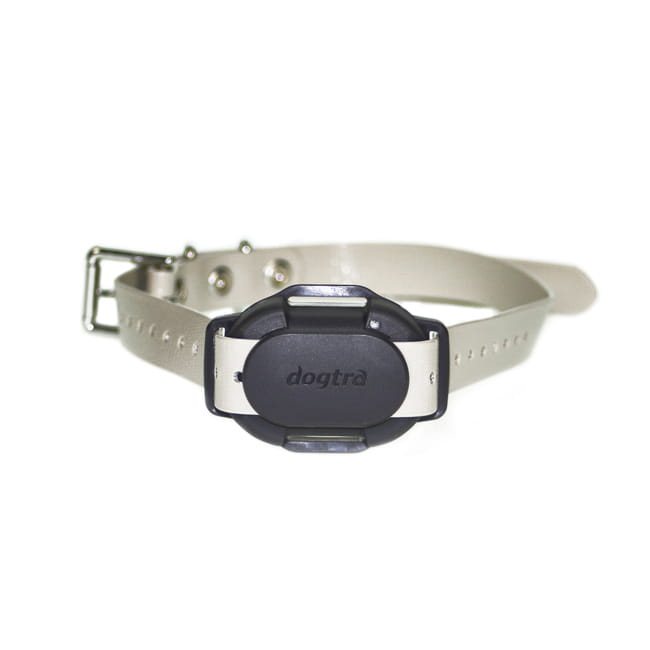 Zusatzhalsbandempfänger Dogtra iQ FLEX