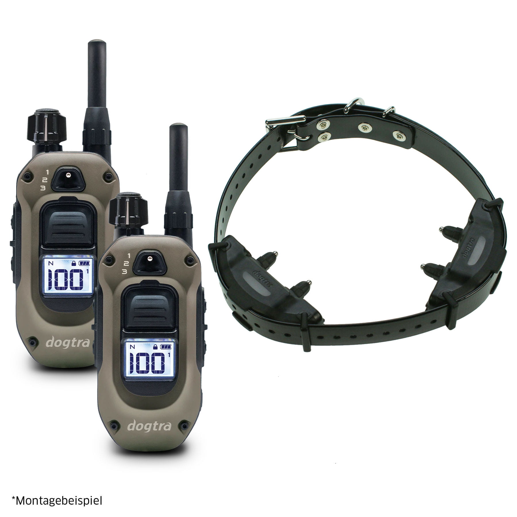 Dogtra ARC-X Doppelkontaktsystem HS