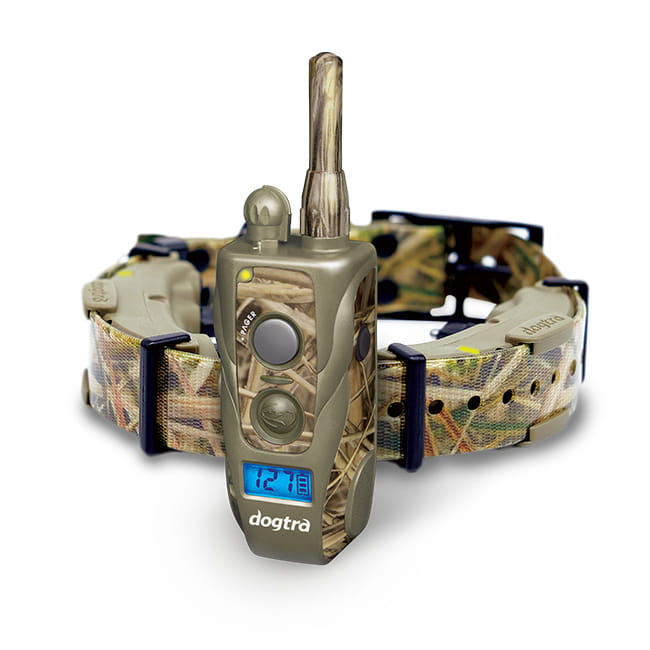 Dgtra Dogtra ARC 800 Camo Ferntrainer