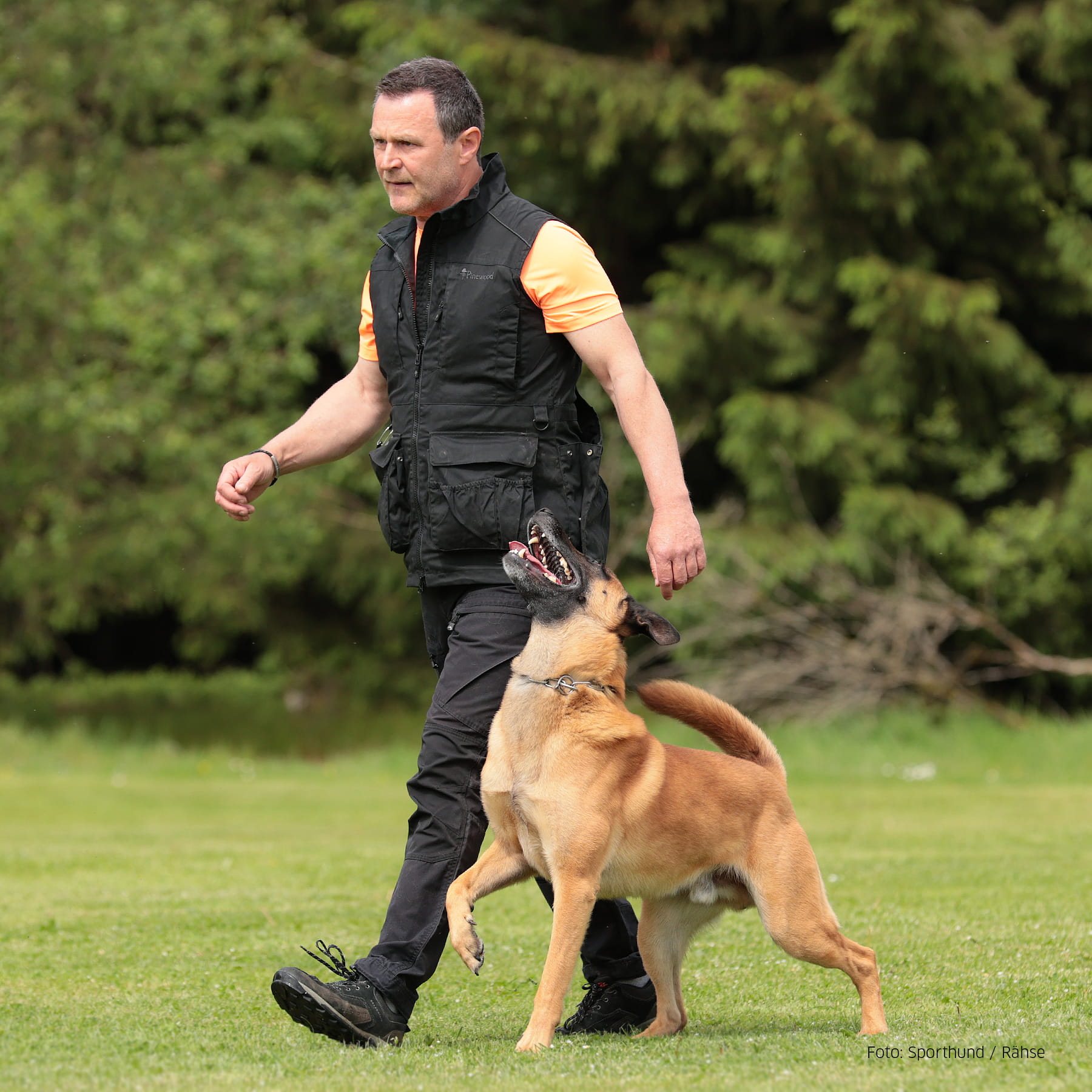 Dog Sports Expert Weste Herren Schwarz L