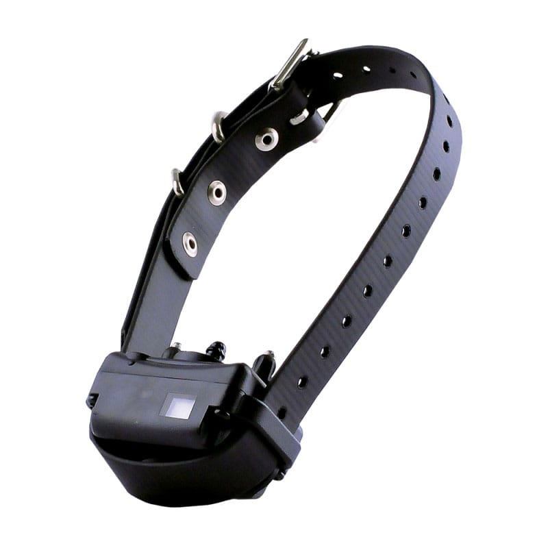 Anti Bell Halsband gnstig online kaufen Anti Bell Halsband gnstig online kaufen