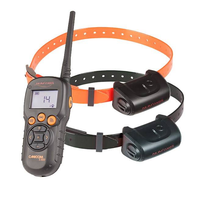 Canicom 5 Ferntrainer fr zwei Hunde Canicom 5 Ferntrainer fr zwei Hunde