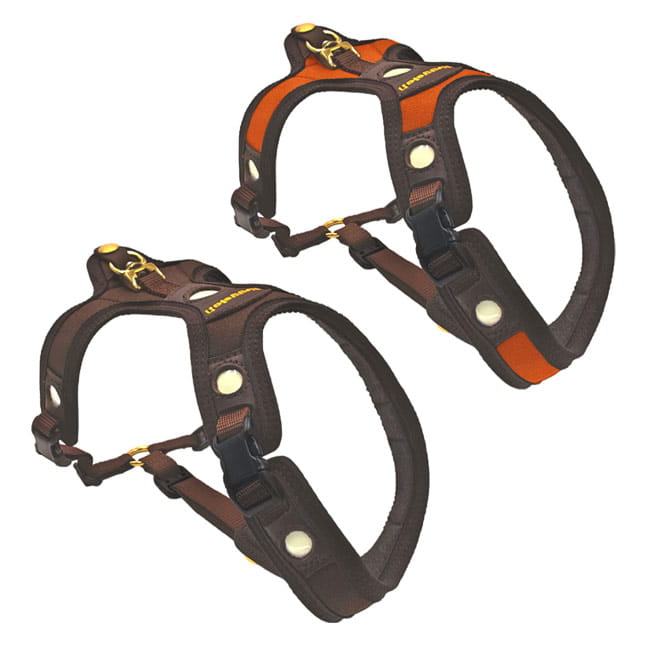 Niggeloh Hundeführgeschirr Follow light Lichtblick