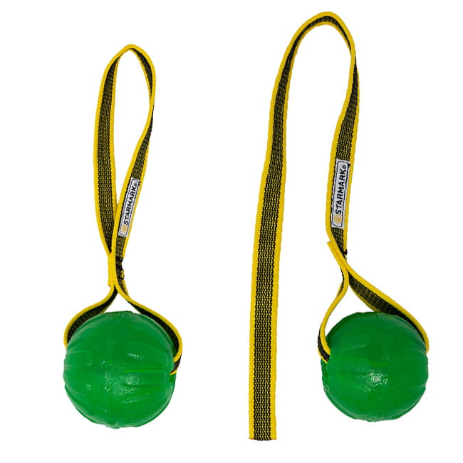 Starmark GripCord Chew Ball