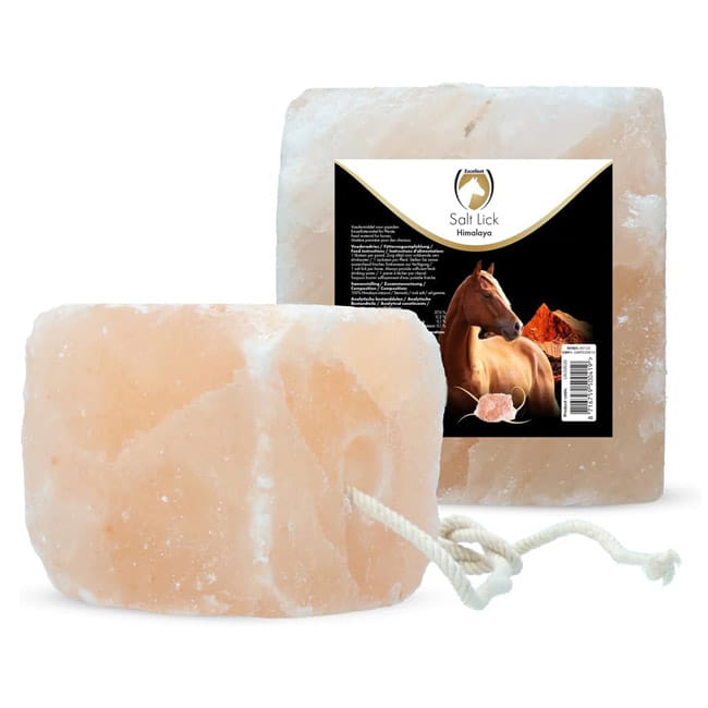 Himalaya Salzleckstein 2 - 3 kg
