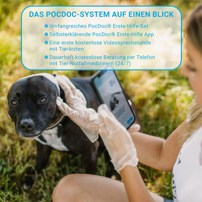 Erste Hilfe für Hunde Verbands-Tasche